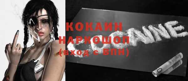 сатива Няндома