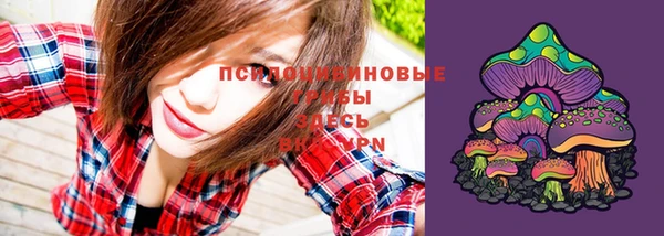ПСИЛОЦИБИНОВЫЕ ГРИБЫ Нягань