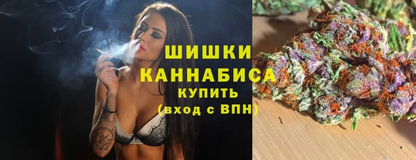 сатива Няндома