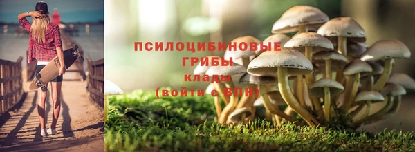 MESCALINE Новодвинск