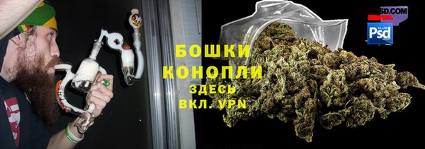 ПСИЛОЦИБИНОВЫЕ ГРИБЫ Нягань