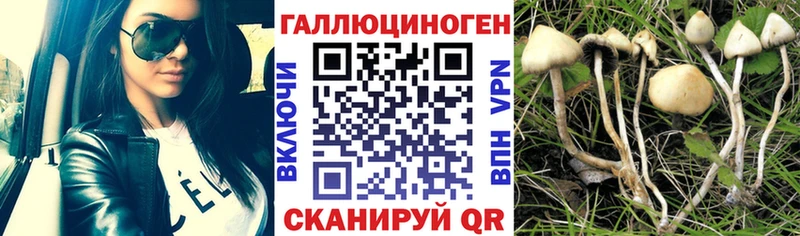 Галлюциногенные грибы MAGIC MUSHROOMS  Южно-Сахалинск 