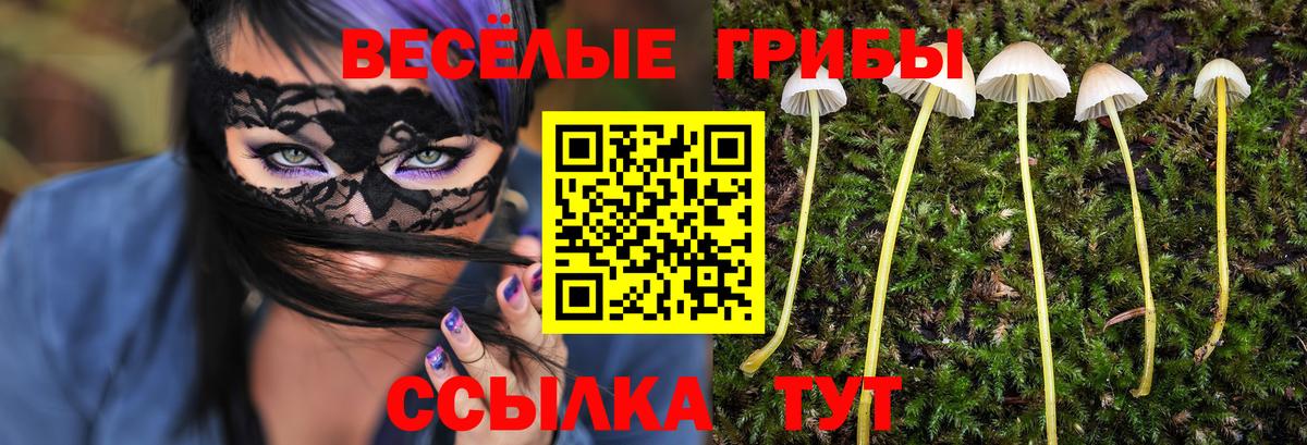 Галлюциногенные грибы Psilocybine cubensis Южно-Сахалинск